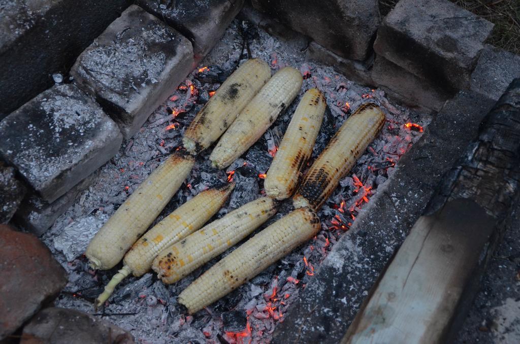 بيت ضيافة أون ميسخيتي بورجومي المظهر الخارجي الصورة